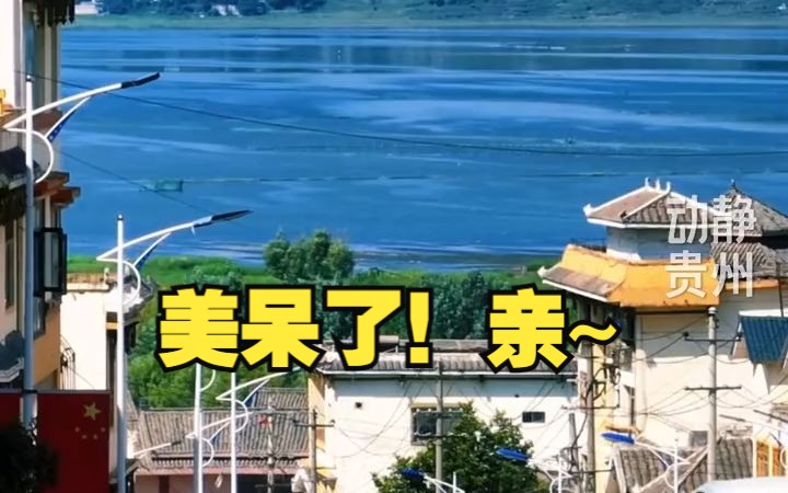 来贵州看海啦!贵州唯一的“海”!哔哩哔哩bilibili