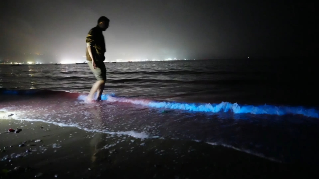 涠洲岛出现蓝眼泪啦!超幸运能在1月底看到荧光海,神奇的大海!