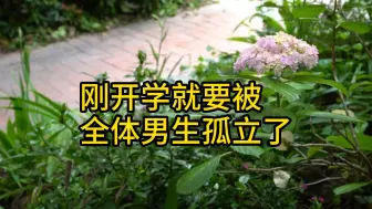 Download Video: 刚开学就要被全体男生孤立了