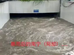 Tải video: 暴雨后的南宁，悲从中来，一言难尽……