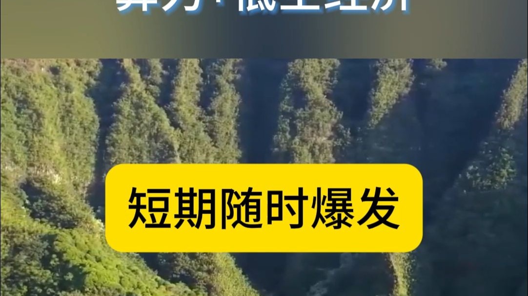 财经早知道快讯(财经早报头条新闻)