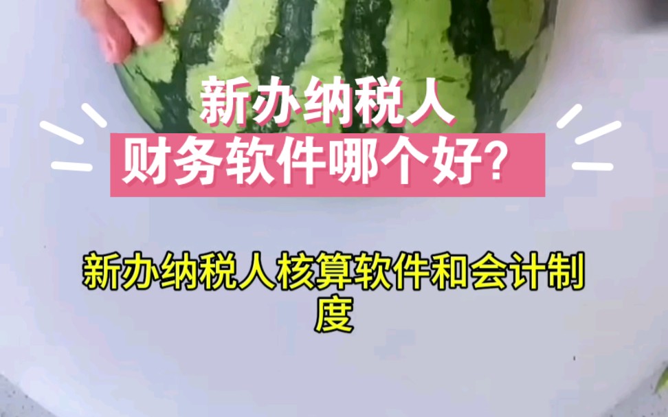 新办纳税人怎样填写财务会计制度及核算软件备案?新办纳税人用什么财务软件好?哔哩哔哩bilibili