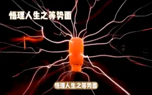 Download Video: 悟理人生之等势面