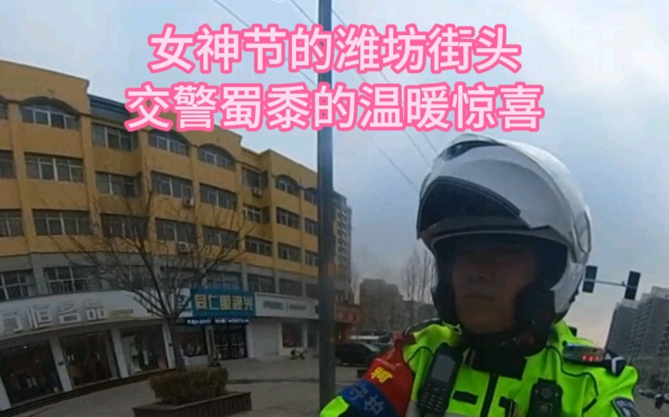 女神节的潍坊街头,交警叔叔的温暖惊喜!潍坊温暖铁骑刘兵兵提醒您:注意出行安全,骑电动车一定要注意戴安全头盔!哔哩哔哩bilibili