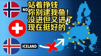 瑞士挪威冰岛为何不加入欧盟？究竟是欧盟老爷的沦丧还是北欧爷的扭曲？