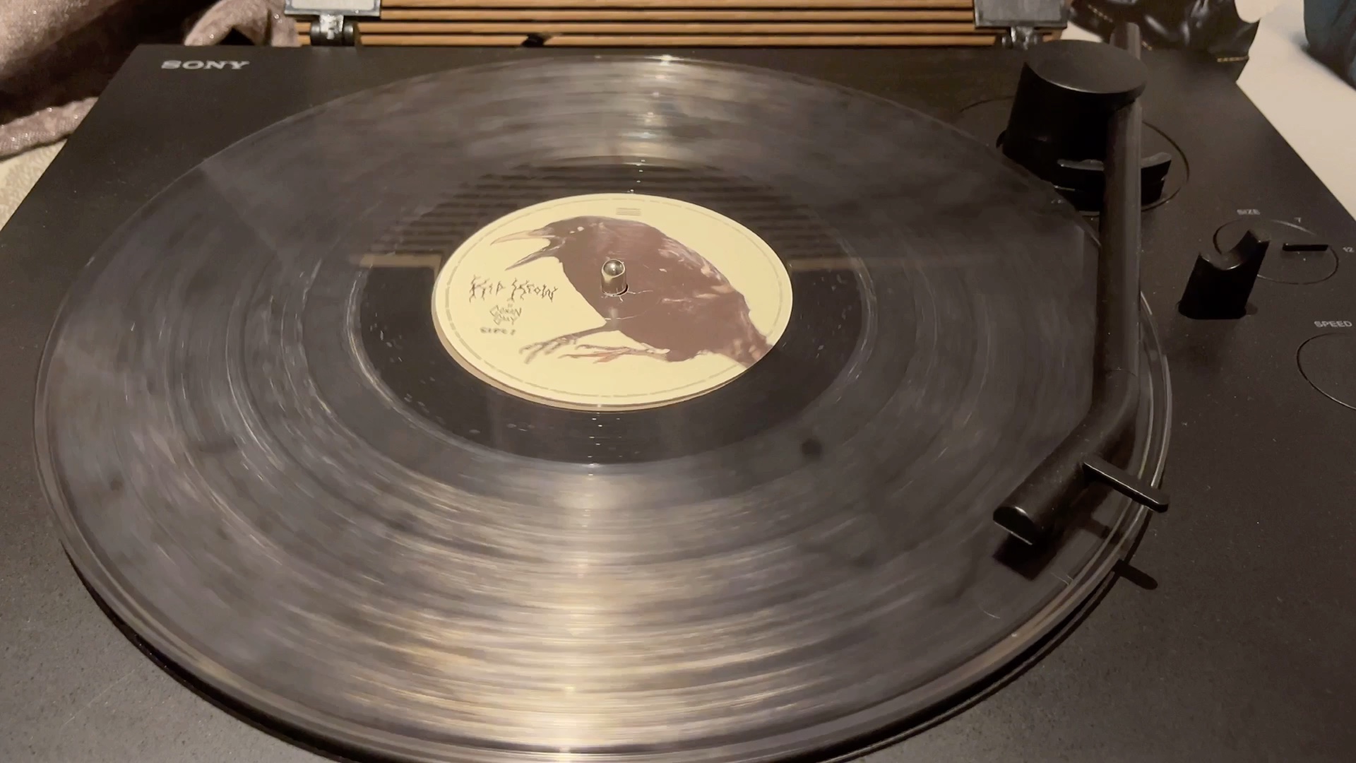 黑胶试听|comfort crowd - conan gray