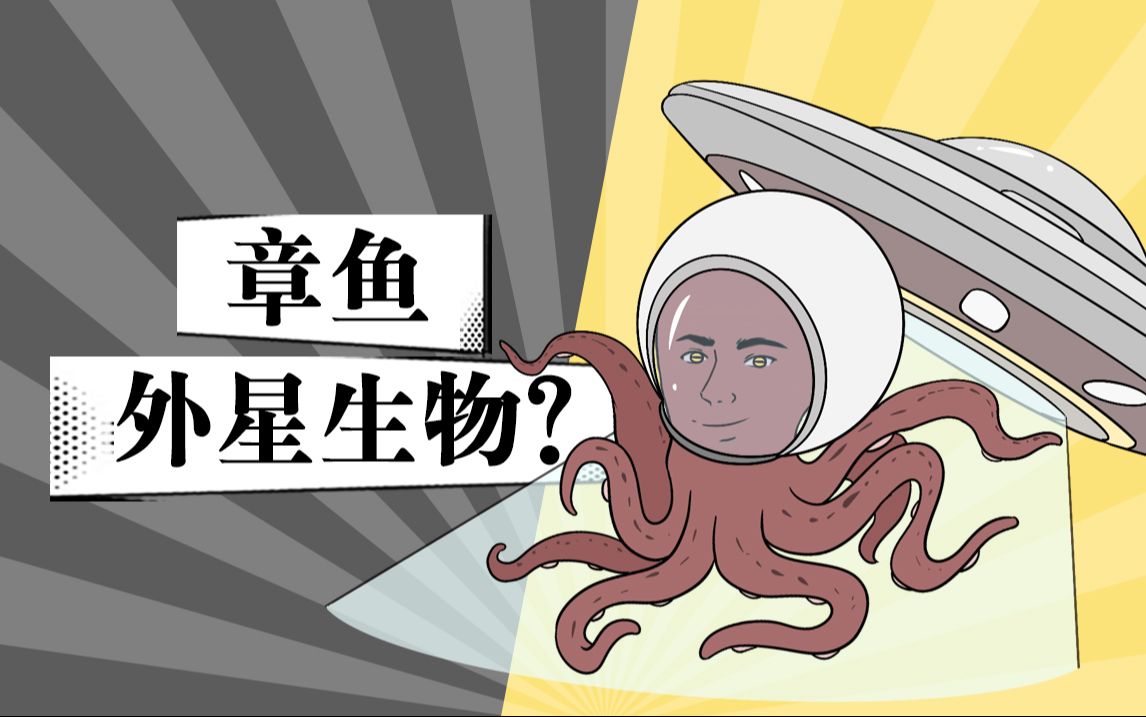 章鱼智商高到离谱!难道真的是从外星来的?