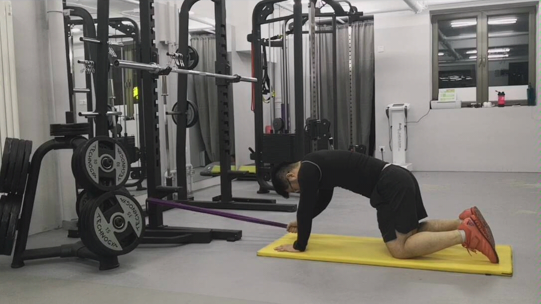 五种核心稳定训练