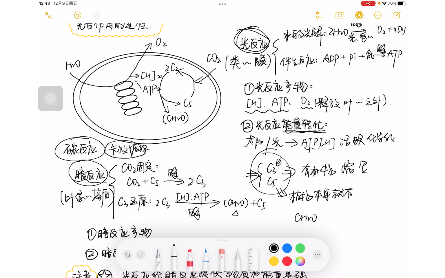 [图]「光合作用」光合作用的过程