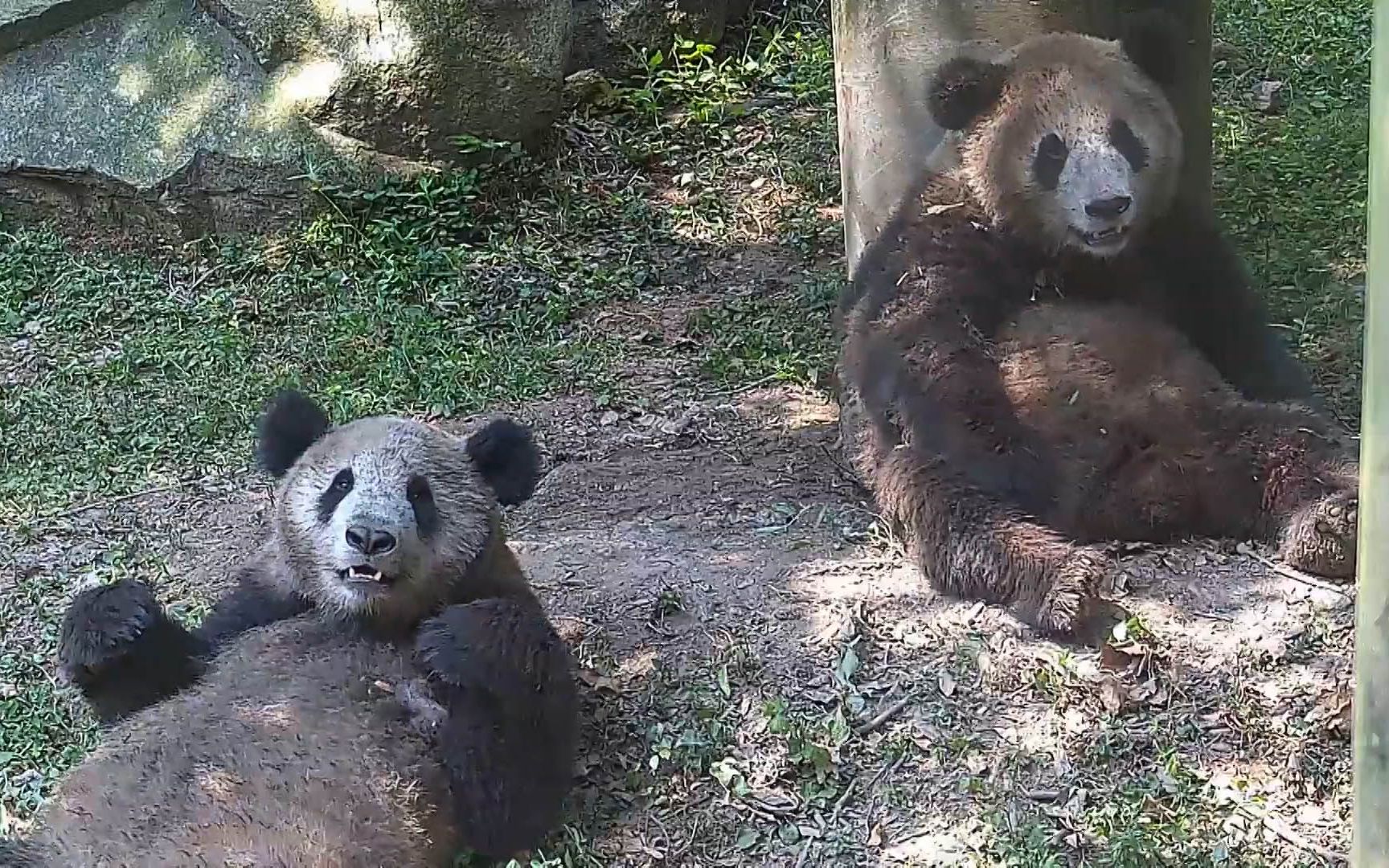 [图]饲养员：当时我就感觉眼前一黑……