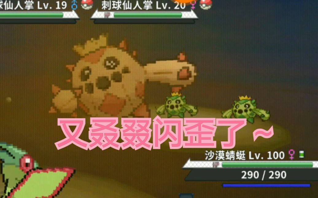 [pokemmo](追梦日记)成功闪歪第四只~刺球仙人掌(;;)哔哩哔哩bilibili