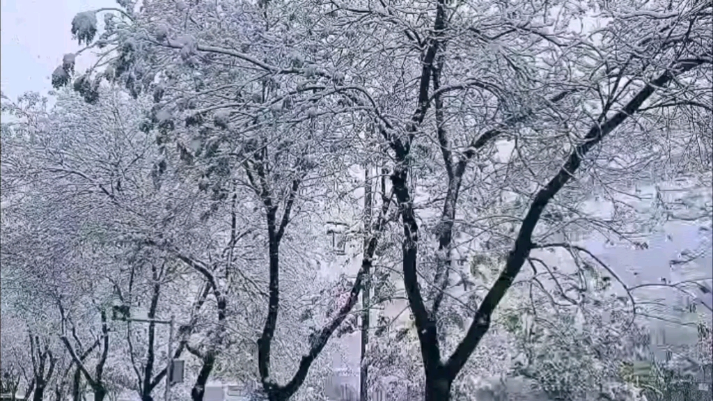 兰州迎来今冬首场降雪,交通道路部门未雨绸缪…哔哩哔哩bilibili