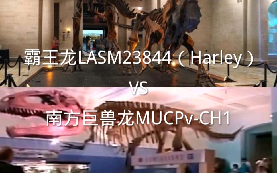 [图]霸王龙（Harley）vs南方巨兽龙（CH1）