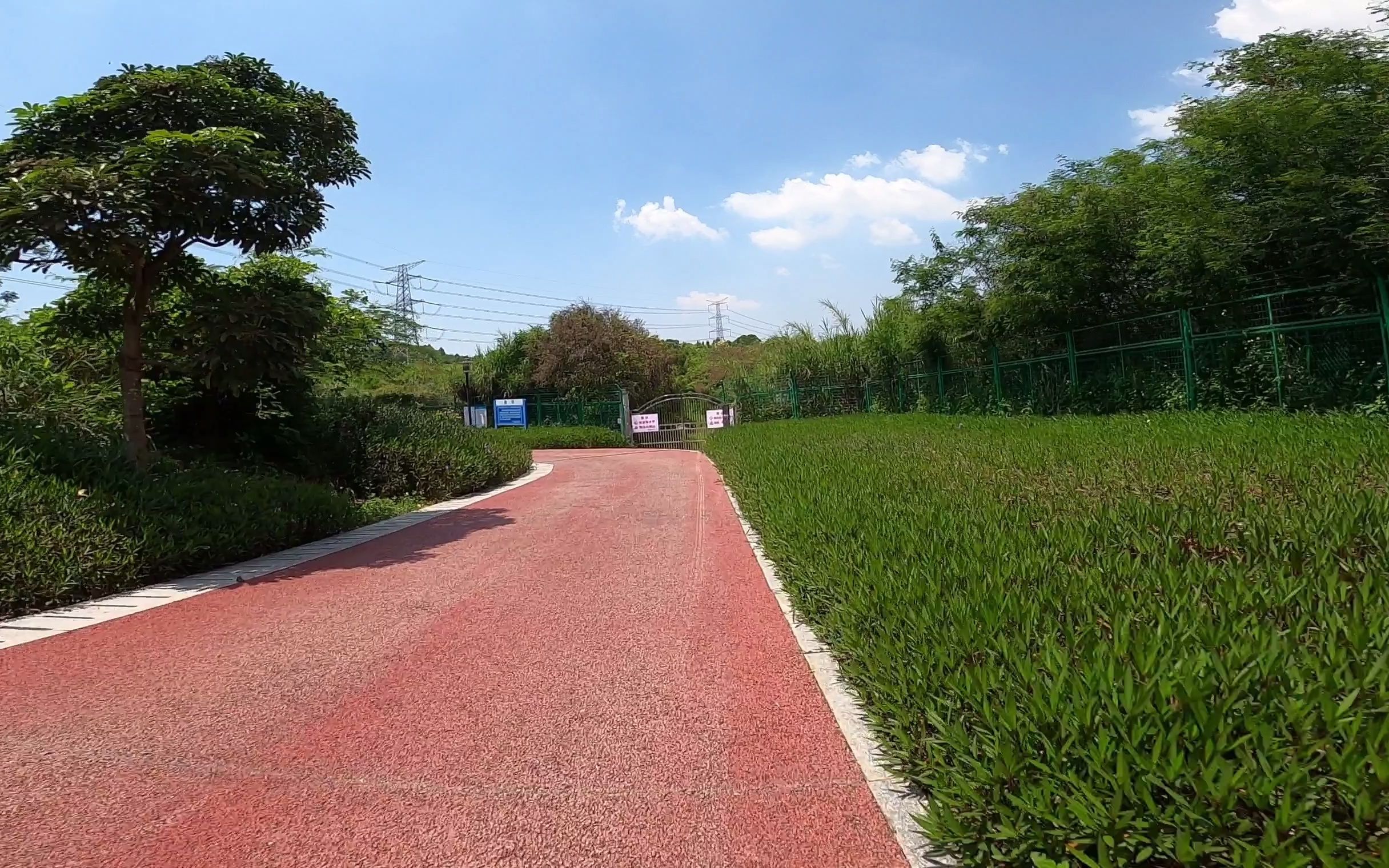 深圳可以骑行的公园图片