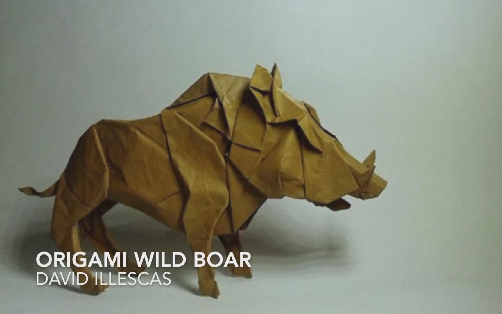 【折纸搬运】野猪 设计:David Illescas 视频制作: JM's Origami Tutorials哔哩哔哩bilibili