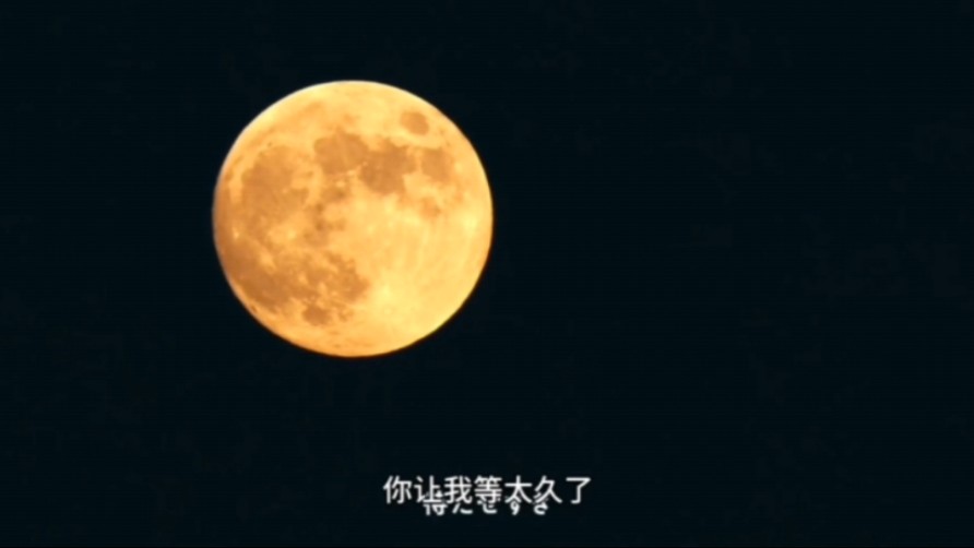 无配音完整版,夏日咖啡男友恋综哔哩哔哩bilibili