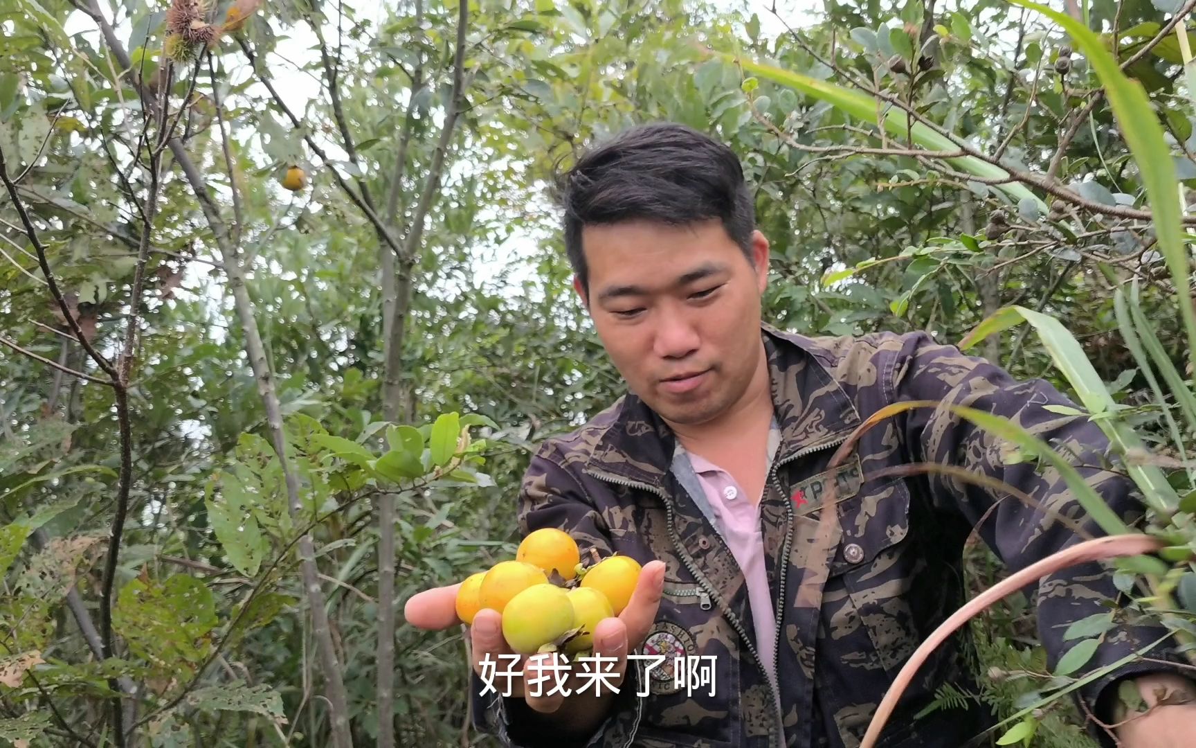 秋天了,小农乡带家人进山摘野果,这几种野果你们认识吗?吃过吗哔哩哔哩bilibili