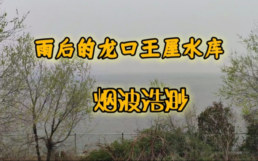 雨后游览龙口人民的水源地王屋水库,烟波浩渺令人流连忘返哔哩哔哩bilibili