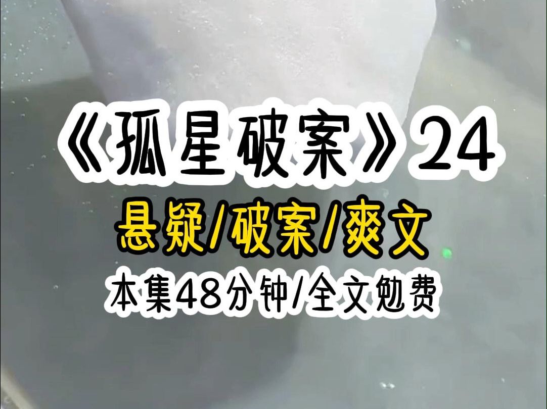 [图]《孤星破案》第24集........