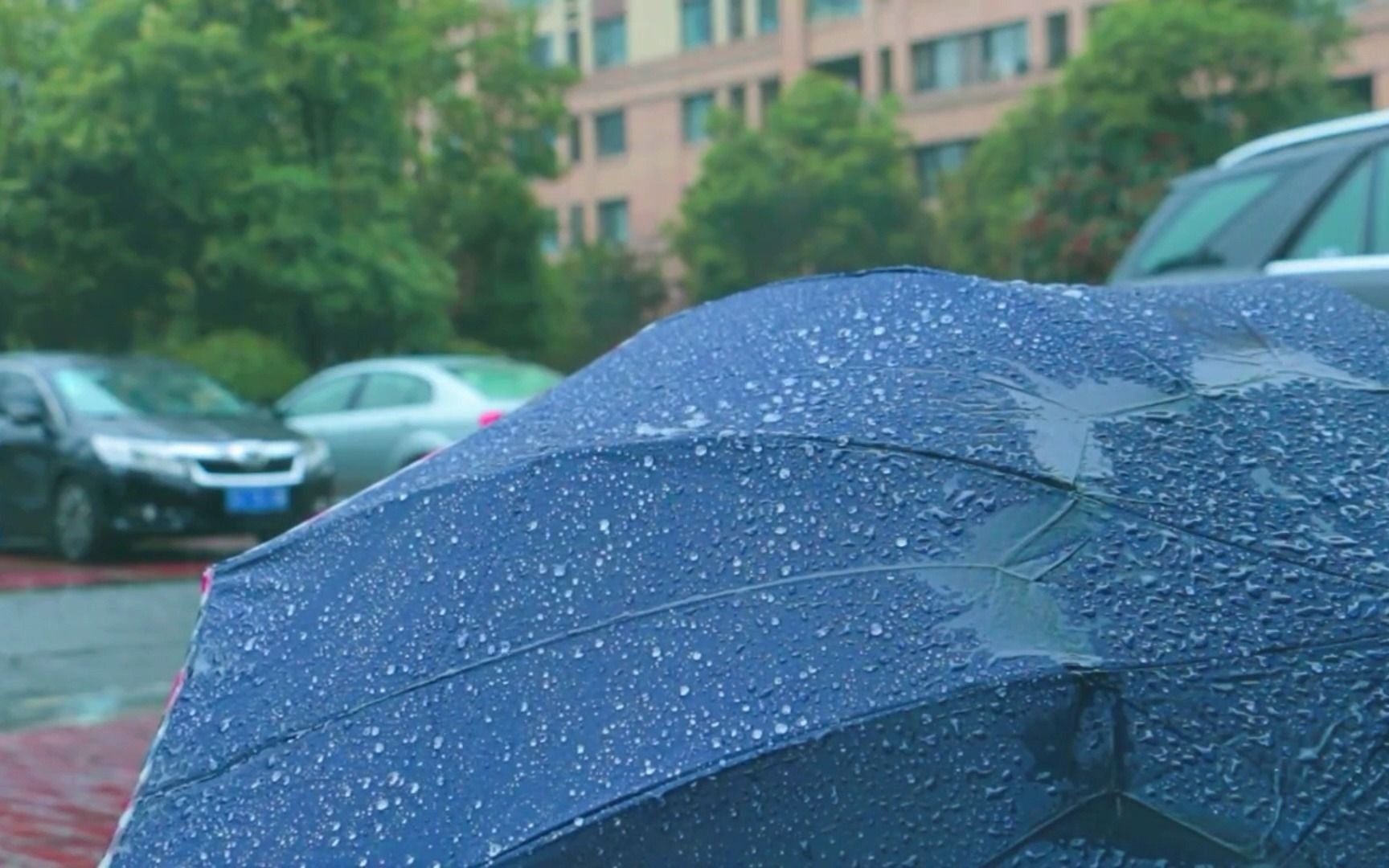 [图]下雨天，谁为你撑伞？