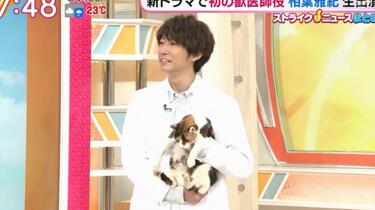 嵐 - 僕とシッポと神楽坂 たらさわみち「僕とシッポと神楽坂」TVドラマ化決定、主演は嵐の