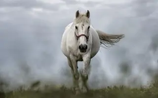 羽鳥駿太 搜索结果 哔哩哔哩 Bilibili