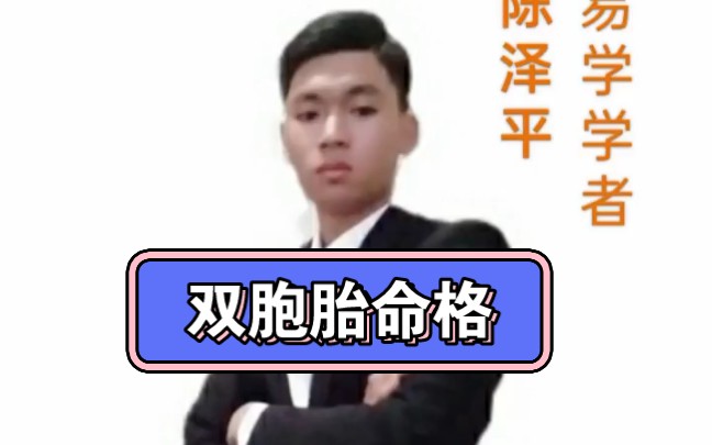 陈泽平:双胞胎的命运也是不同的哔哩哔哩bilibili