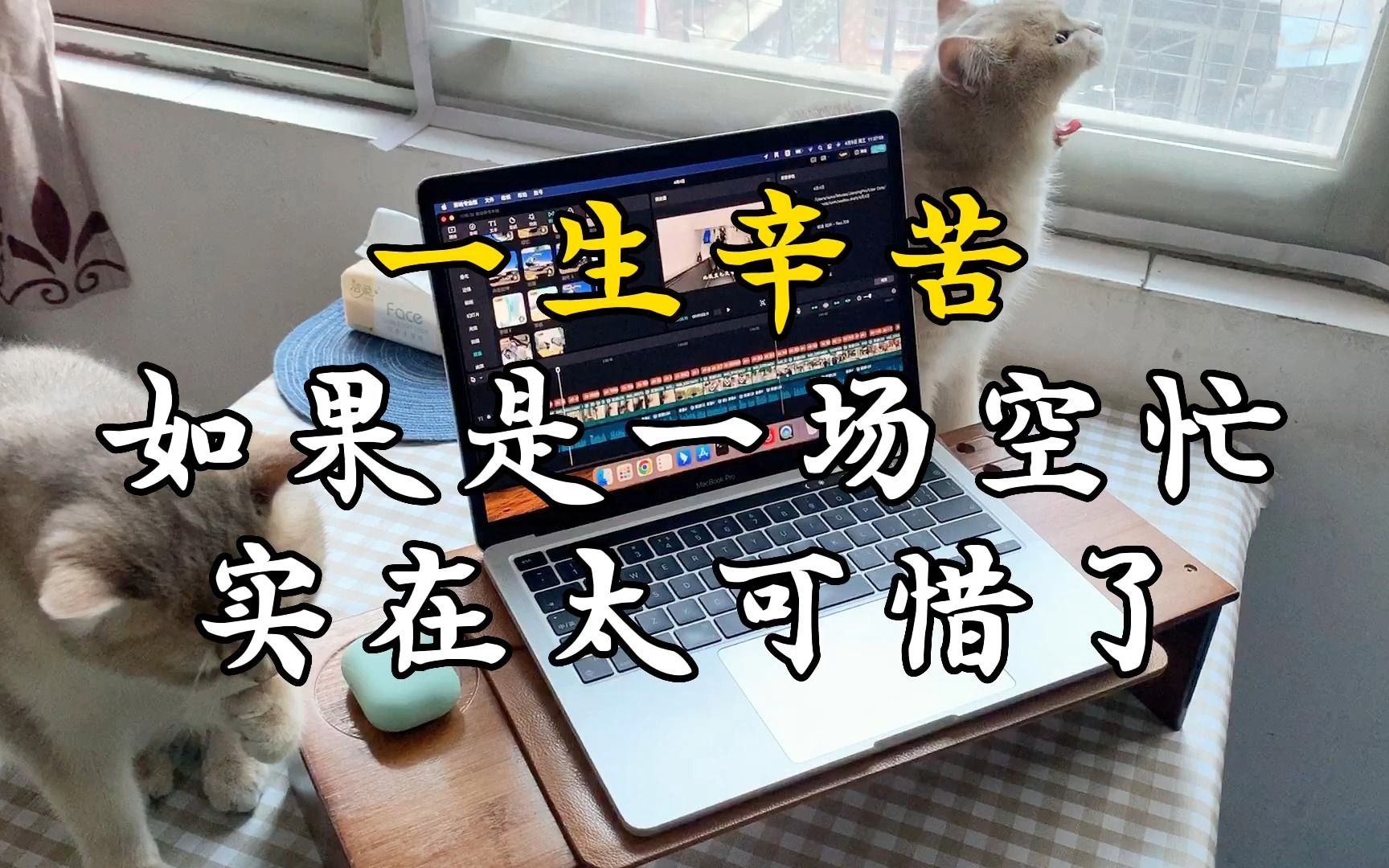 白面蛮头vlog78一生辛苦,如果是一场空忙,实在太可惜了