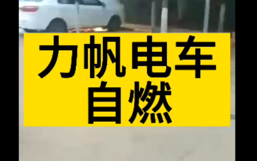 一辆力帆电车充电时自燃,充电不要待车里.#汽车 #新能源汽车 #力帆 #理想one #理想l9哔哩哔哩bilibili