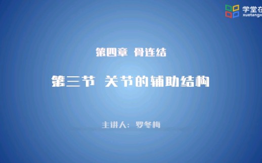 运动解剖学骨连结关节的辅助结构哔哩哔哩bilibili