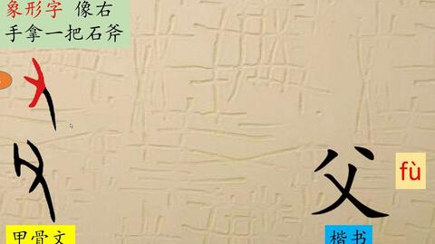 84 父 父是石斧 怎么变成的爸爸 汉字演变 汉字 趣味识字 象形字 甲骨文 哔哩哔哩