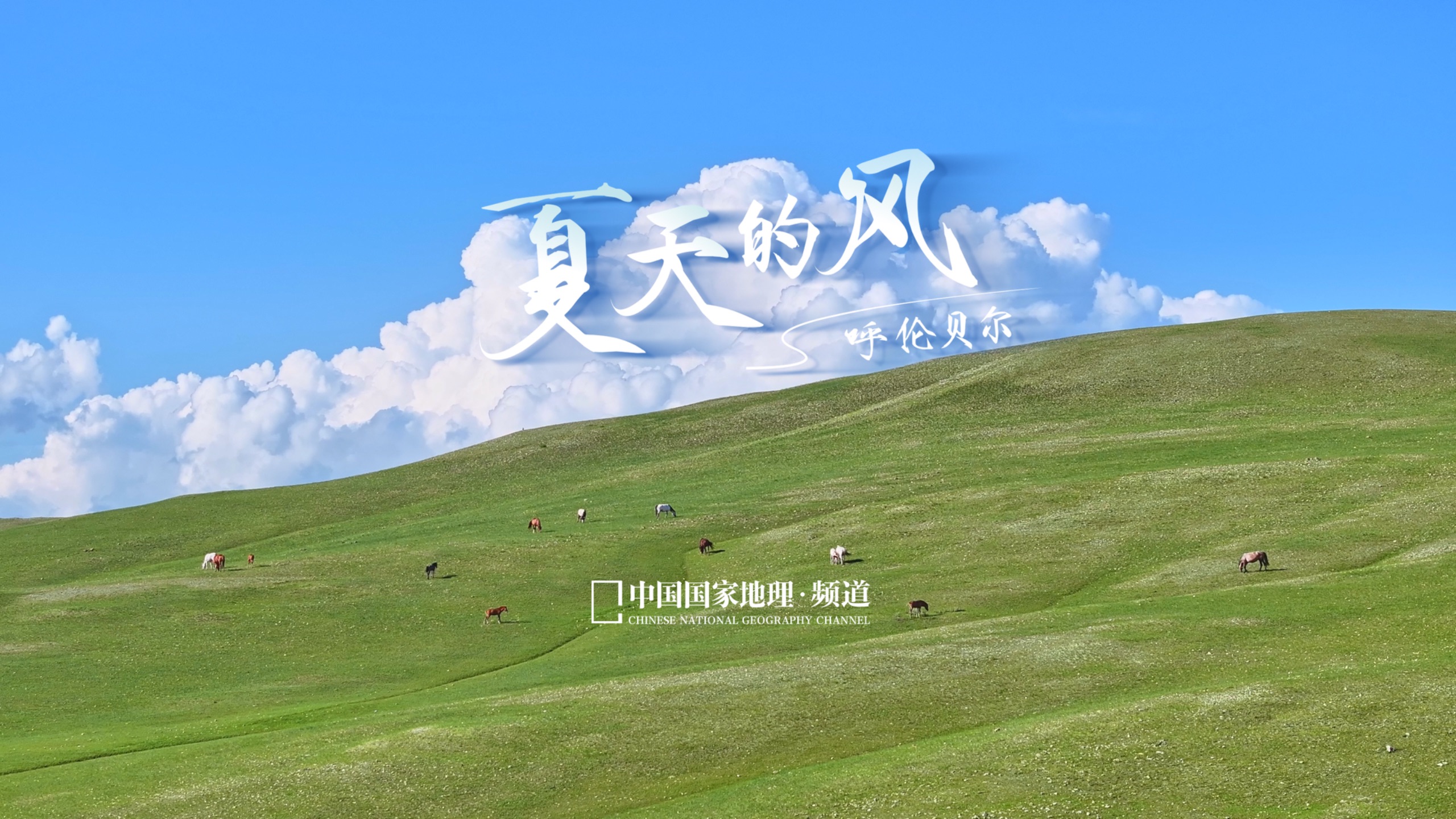 当风淌过呼伦贝尔大草原，远处便是那如海般辽阔的呼伦湖。