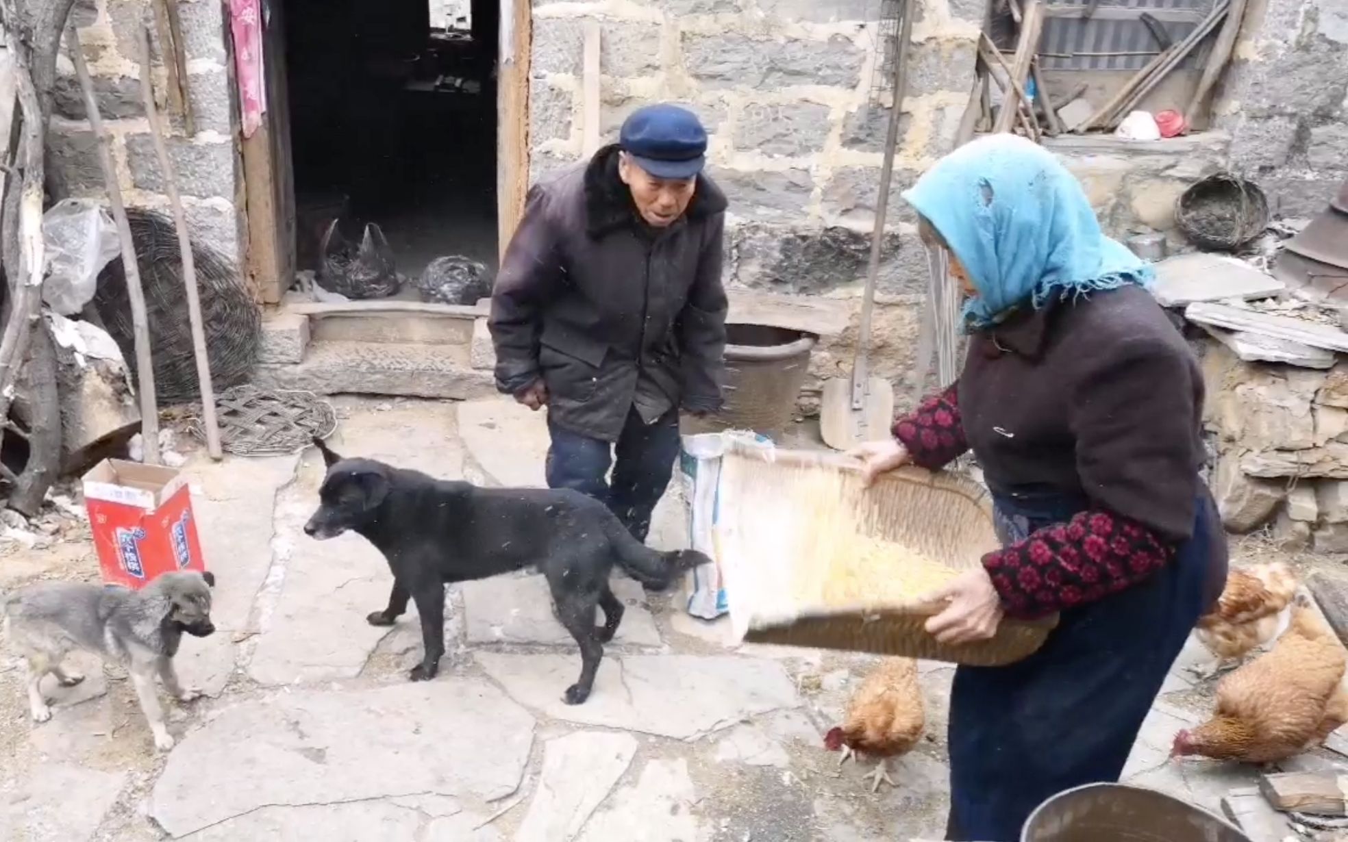 [图]一辈子走不出大山的老两口，每天就过着这样的简单生活！