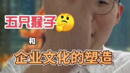 5只猴子教你企业文化如何塑造哔哩哔哩bilibili