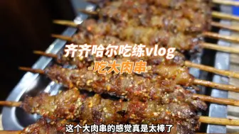 下载视频: 健完身吃齐齐哈尔大肉串！大肉串、大片肉再配上一份蛋炒饭，太香了！