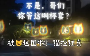 Télécharger la video: 这杯套有点东西！猫控狂喜！这才是原神联动最大彩蛋吧QAQ