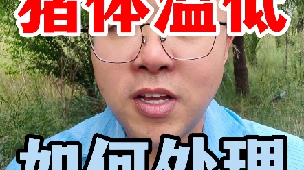 猪体温低,如何处理.!哔哩哔哩bilibili