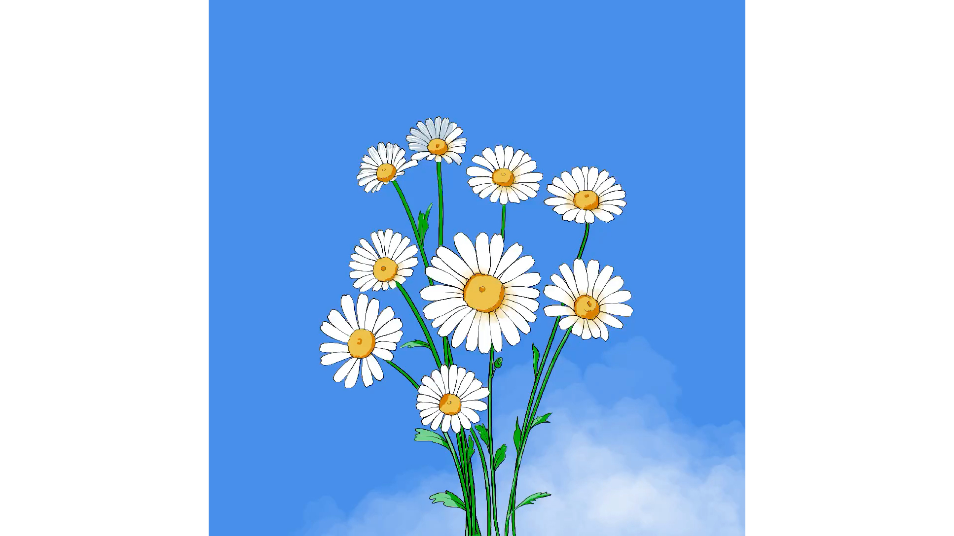 ipad白色雏菊绘画