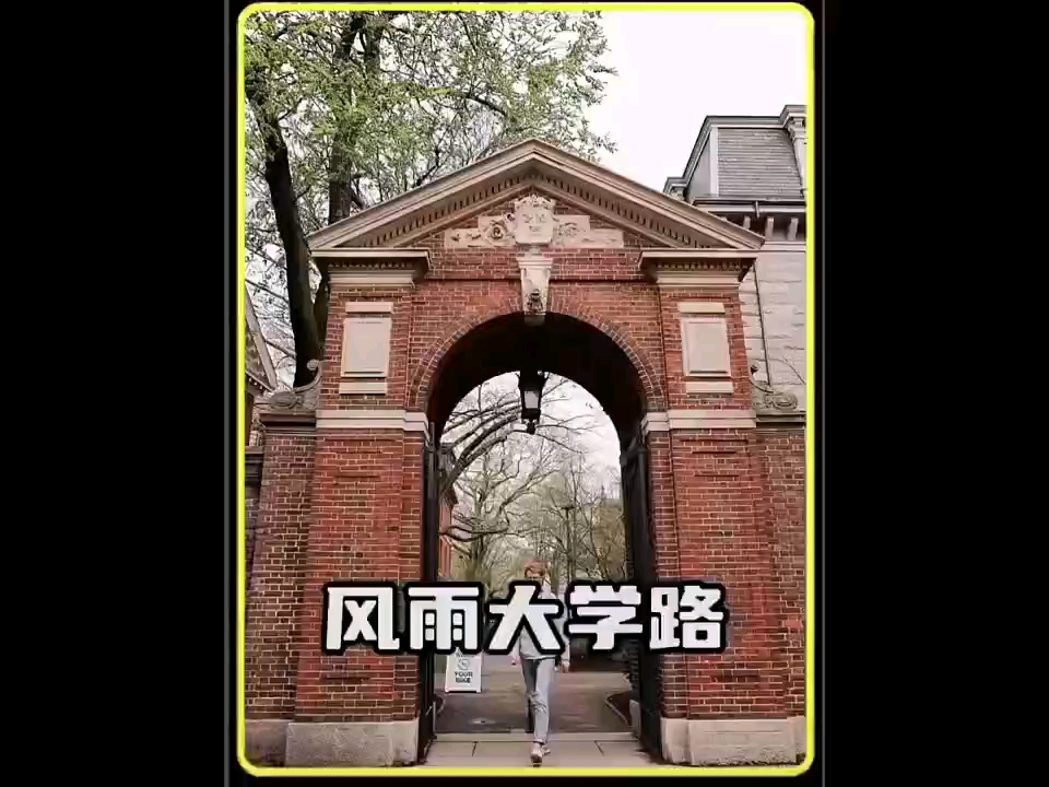 风雨哈佛路哔哩哔哩bilibili