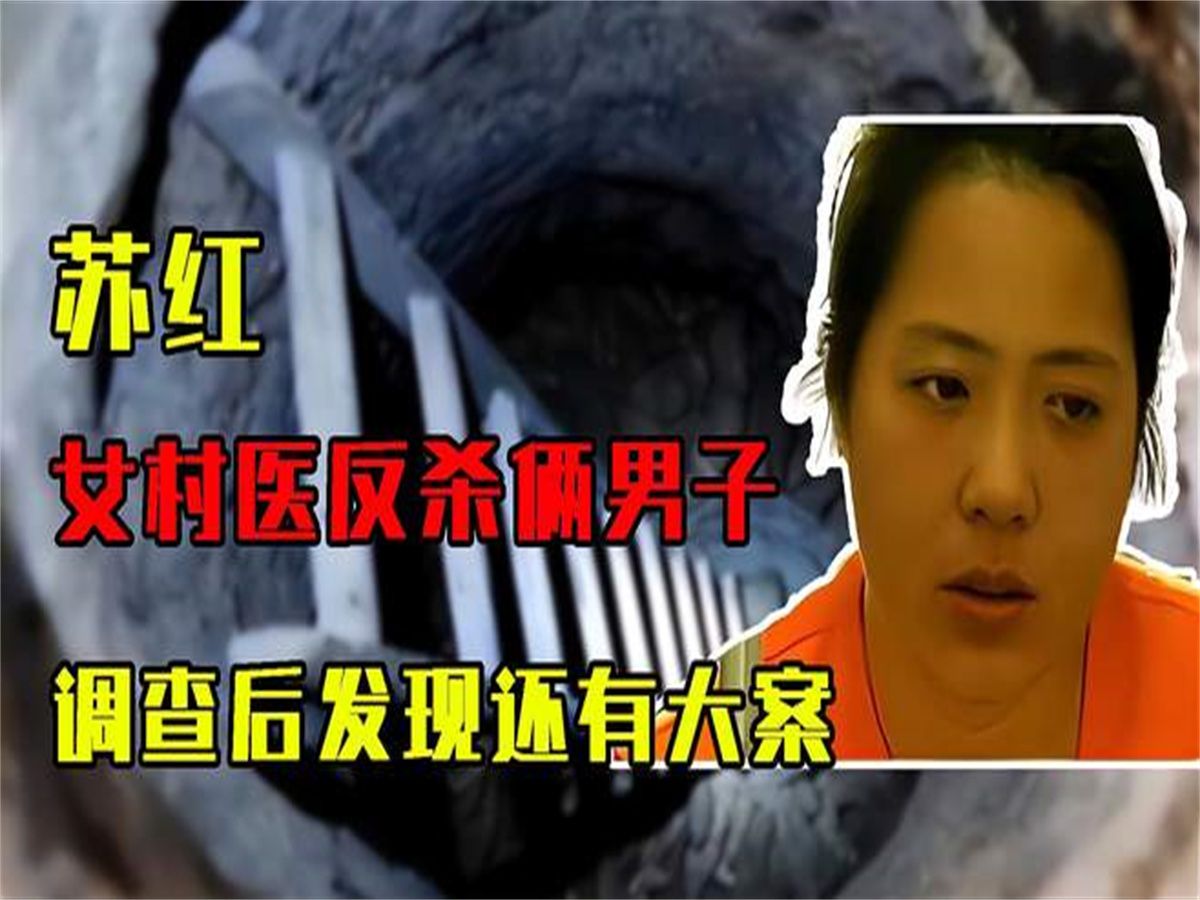 2010年两男子侵害女医生,不想反倒被杀,调查后发现还有大案