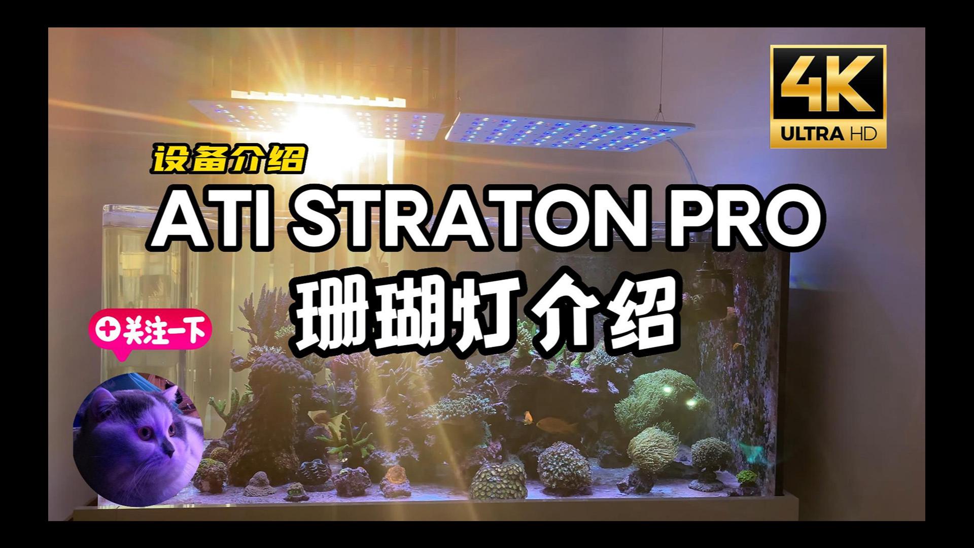 德国ATI Straton Pro 珊瑚灯介绍,颜值扛把子哔哩哔哩bilibili