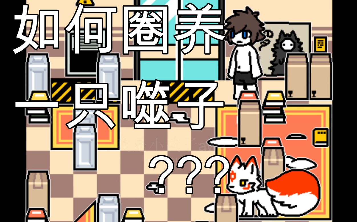 如何圈养一只噬子噬子