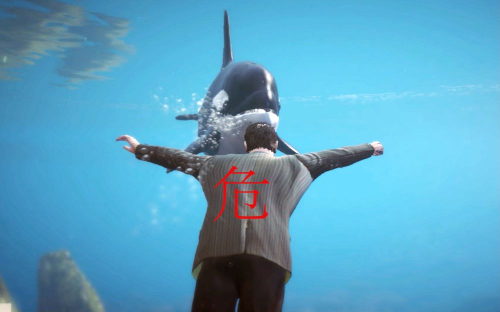 活动作品gta5的虎鲸也是嘤嘤怪至臻虎鲸催泪警告