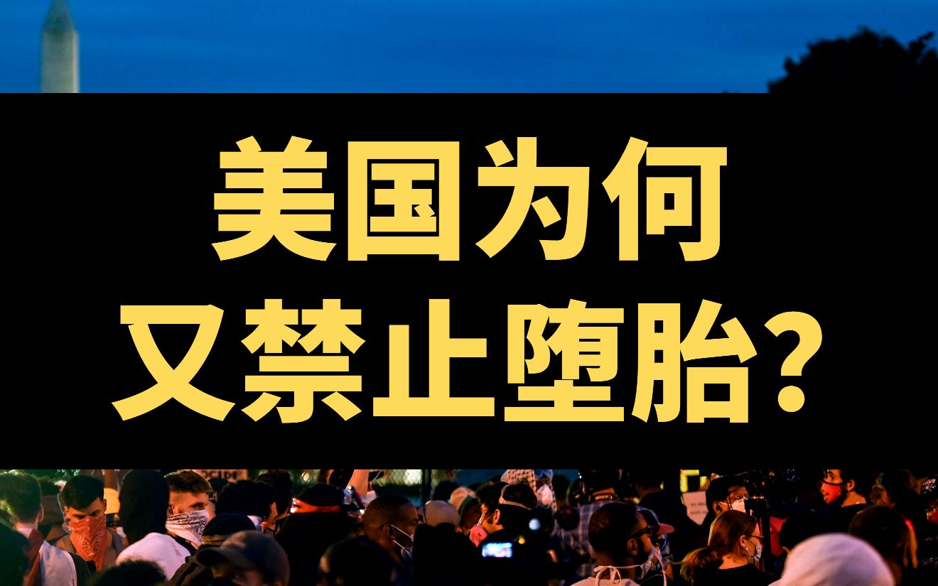 【硬核社会学ⷧ𞎥›𝨧‚察】美国为何又禁止堕胎?资本主义再生产的本质!哔哩哔哩bilibili