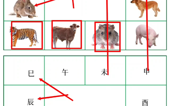 图解十二宫对应十二生肖,快来了解一下吧!哔哩哔哩bilibili