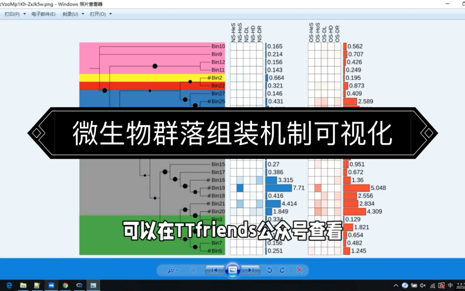 itol.toolkit视频教程|iCAMP结果可视化哔哩哔哩bilibili