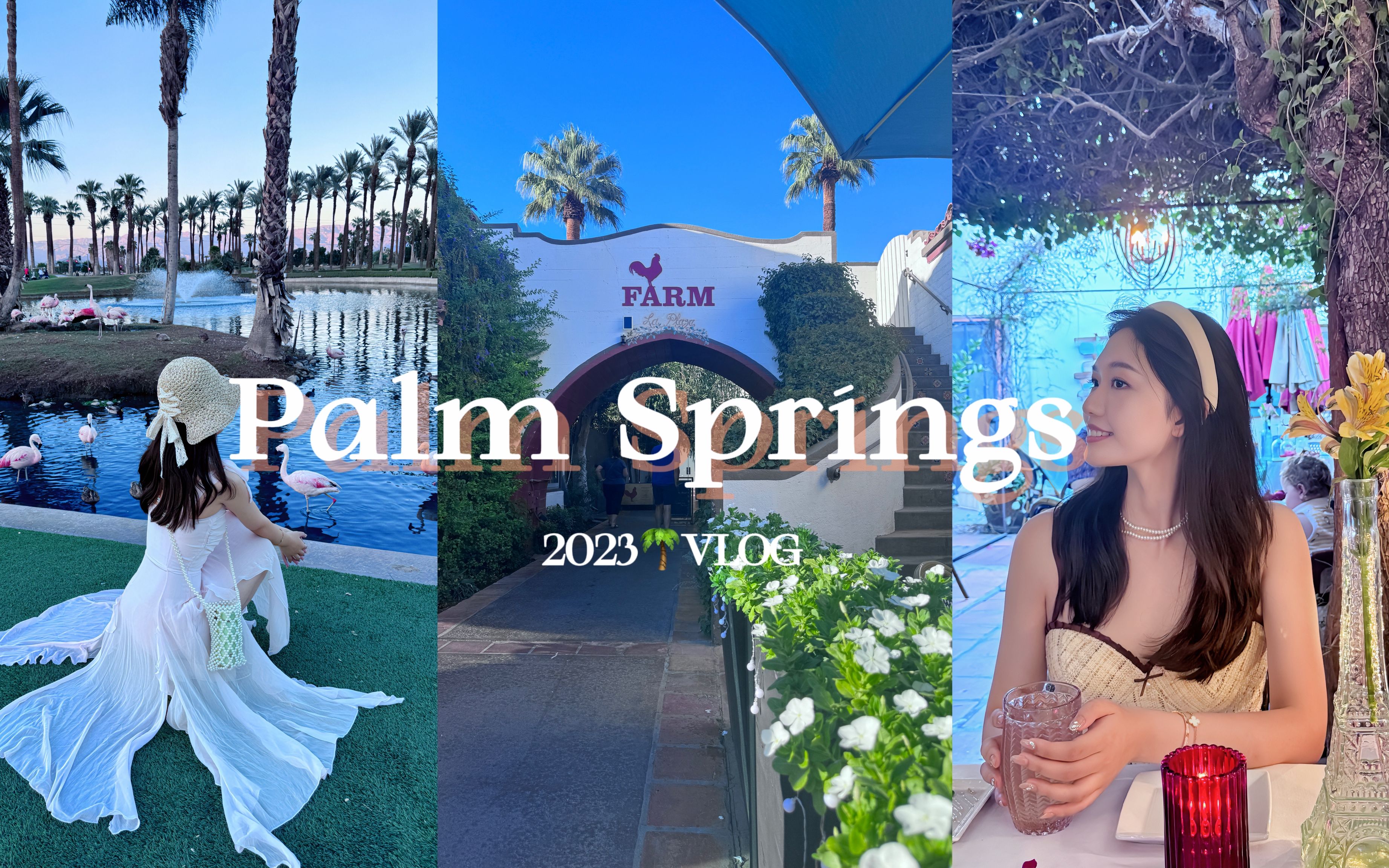 VLOG. Palm Spring | 棕榈泉有这些好吃好喝好玩的,不愧是南加人的后花园哔哩哔哩bilibili