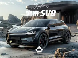 Download Video: ⚫️黑米SV8｜剑指ModelY🌟