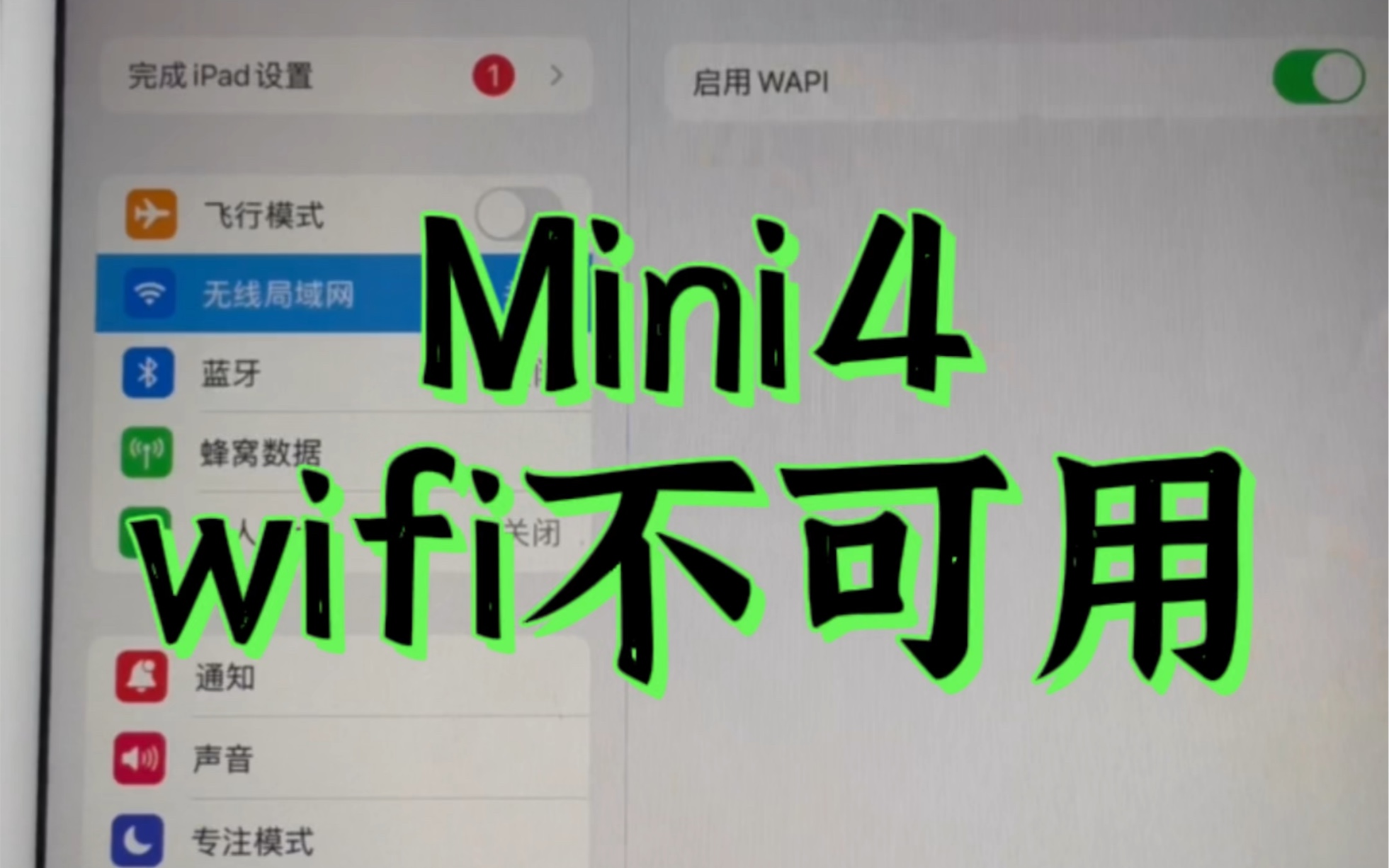 iPad Mini4 无线网灰色打不开哔哩哔哩bilibili