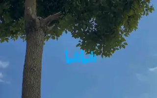 微信现状——我个人真的很爱